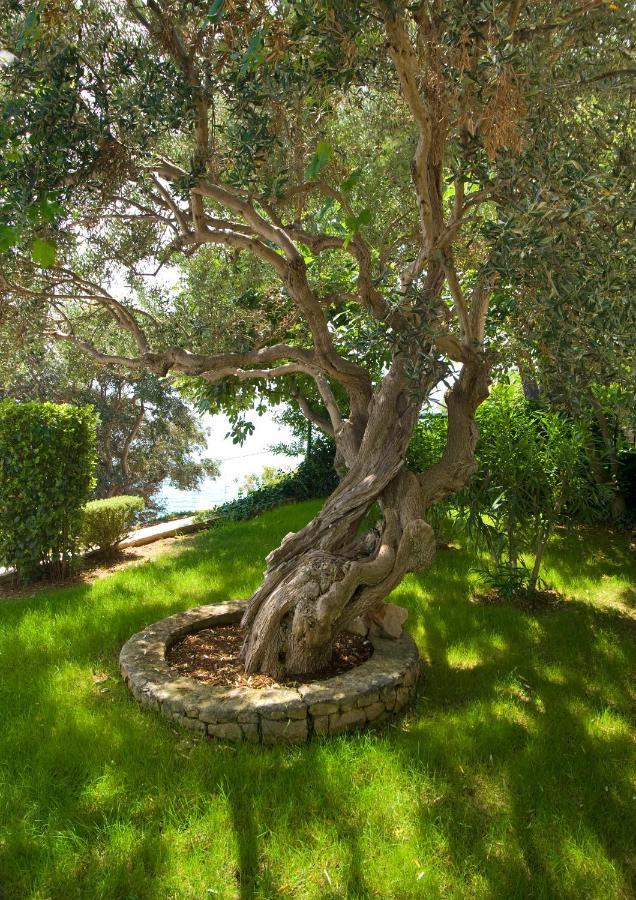 Holiday Home Duje Trogir Bagian luar foto