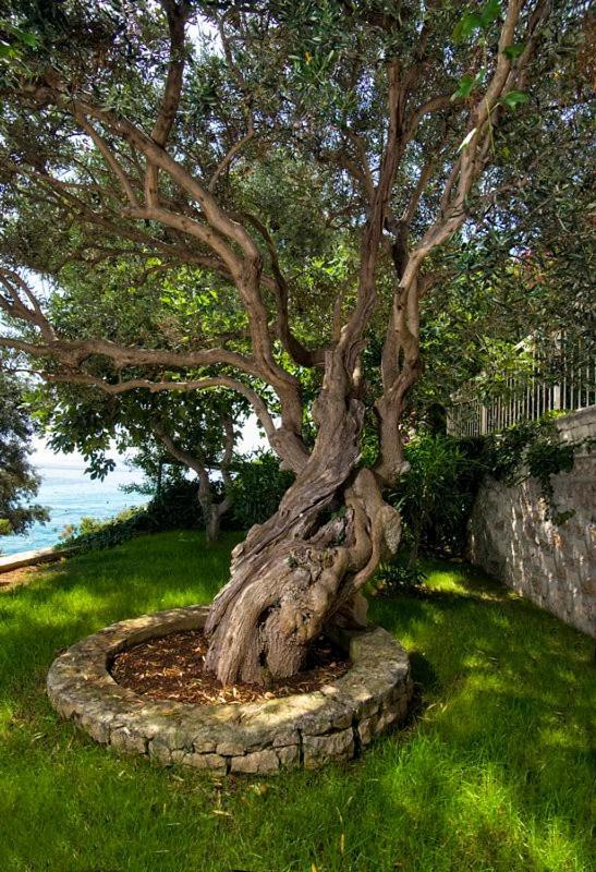Holiday Home Duje Trogir Bagian luar foto